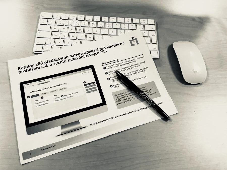 COMPANY PROCESS APPLICATION